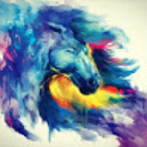 Meet your Posher, Angelica